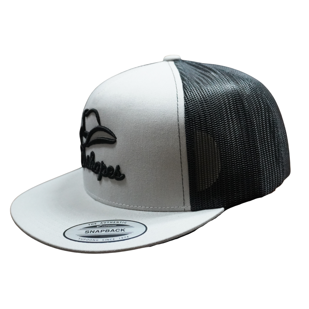 Gorra de camionero negra D. Shapes