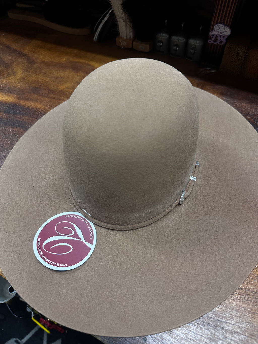 Tacchino 10x Sahara Regular Crown