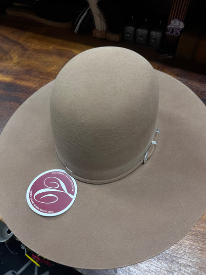 Tacchino 10x Sahara Regular Crown